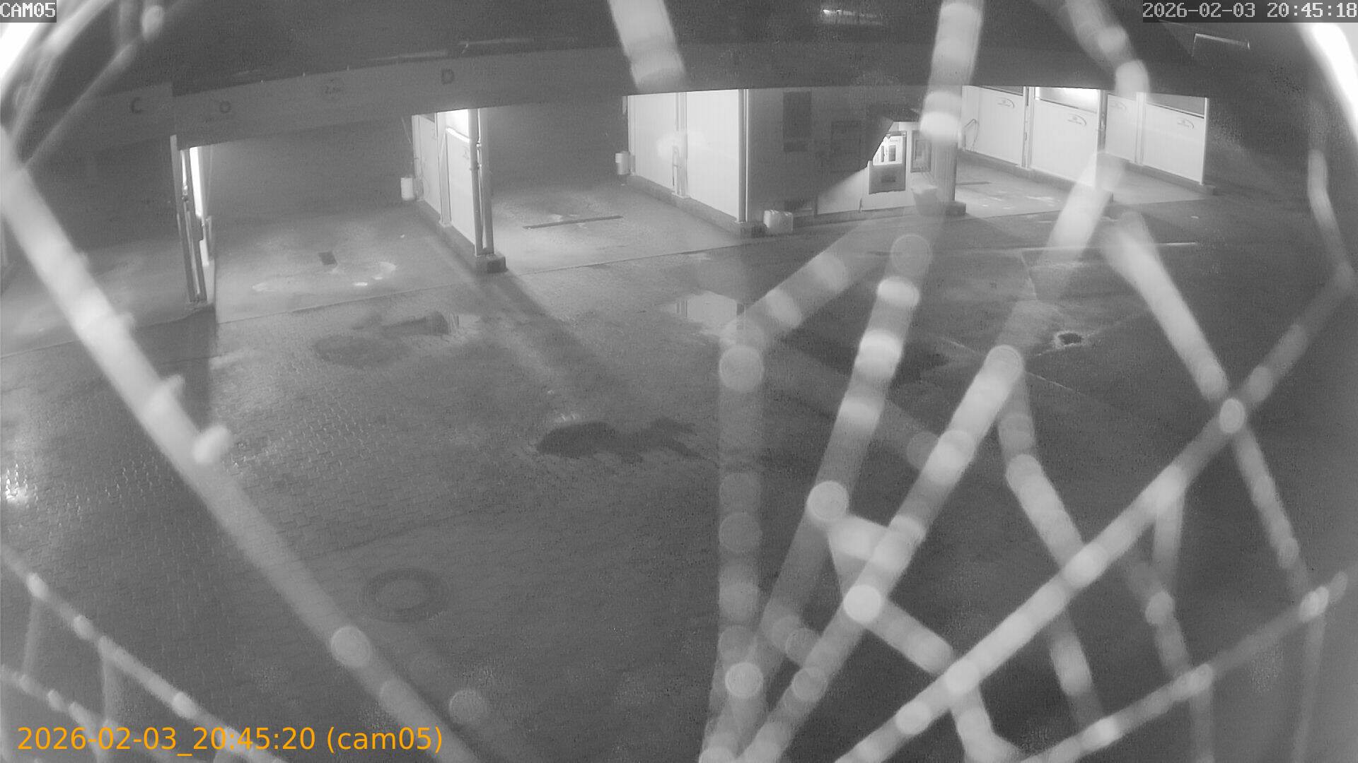 thumbnail_20260203204520