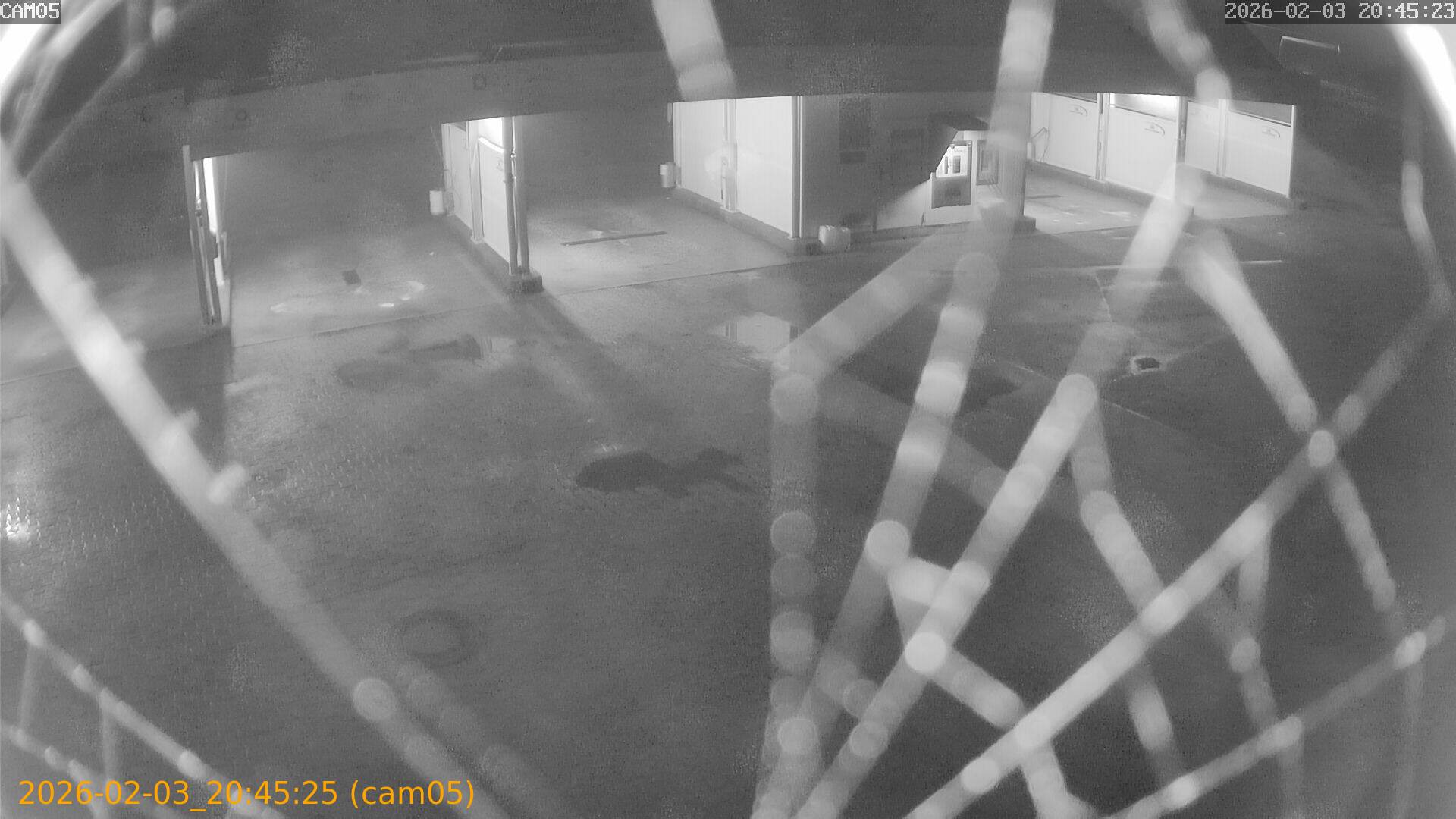 thumbnail_20260203204525