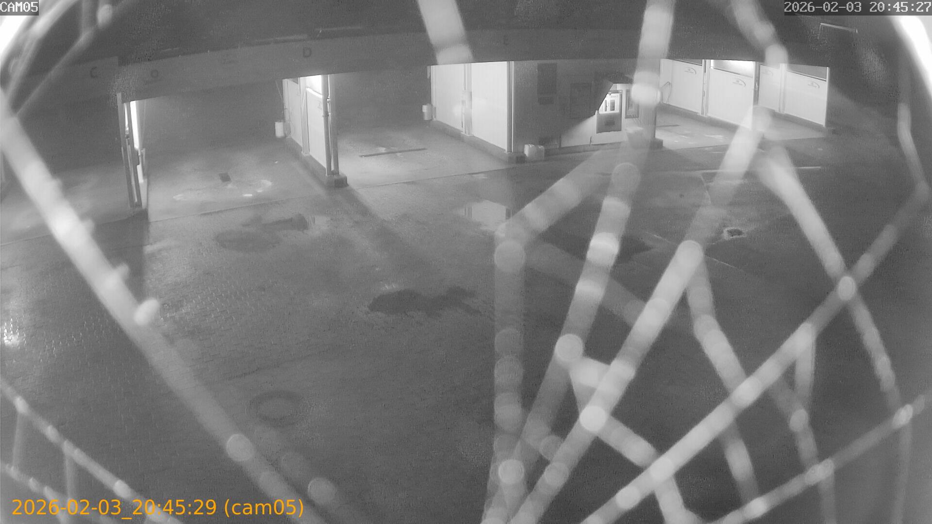 thumbnail_20260203204529