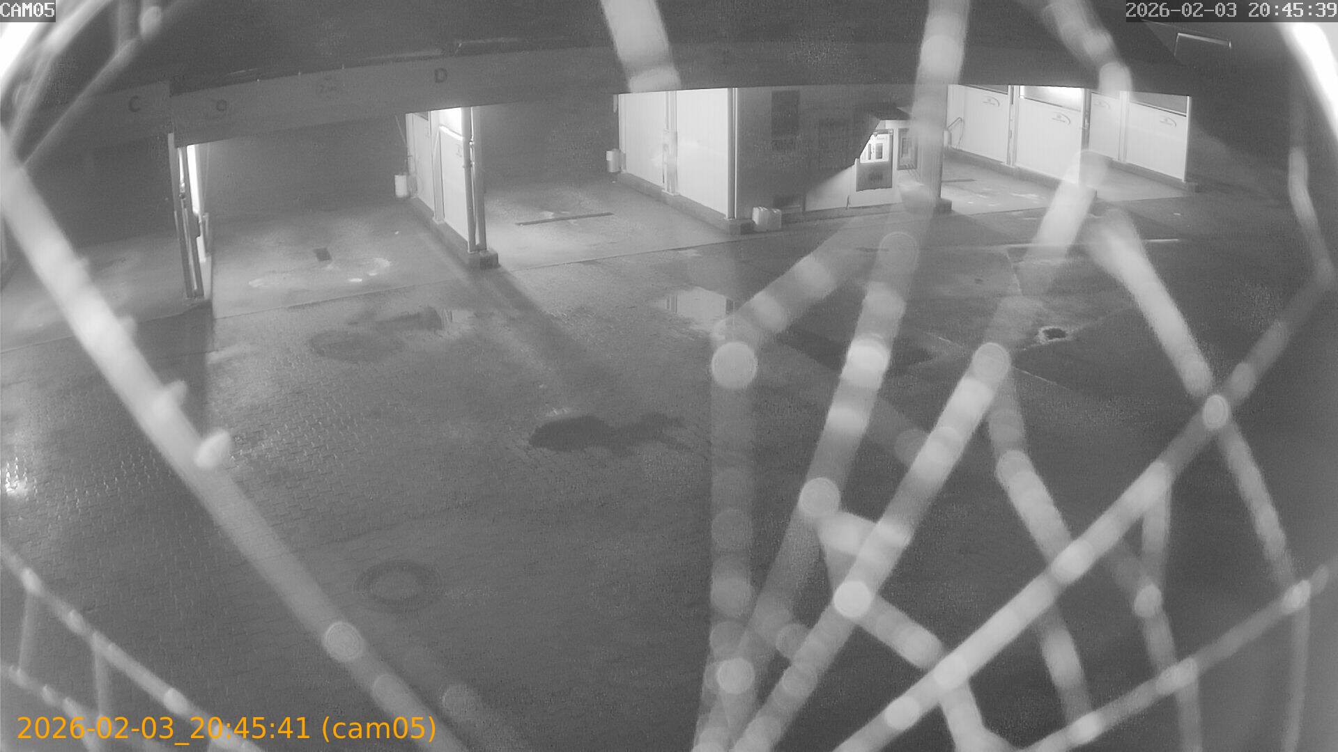 thumbnail_20260203204541