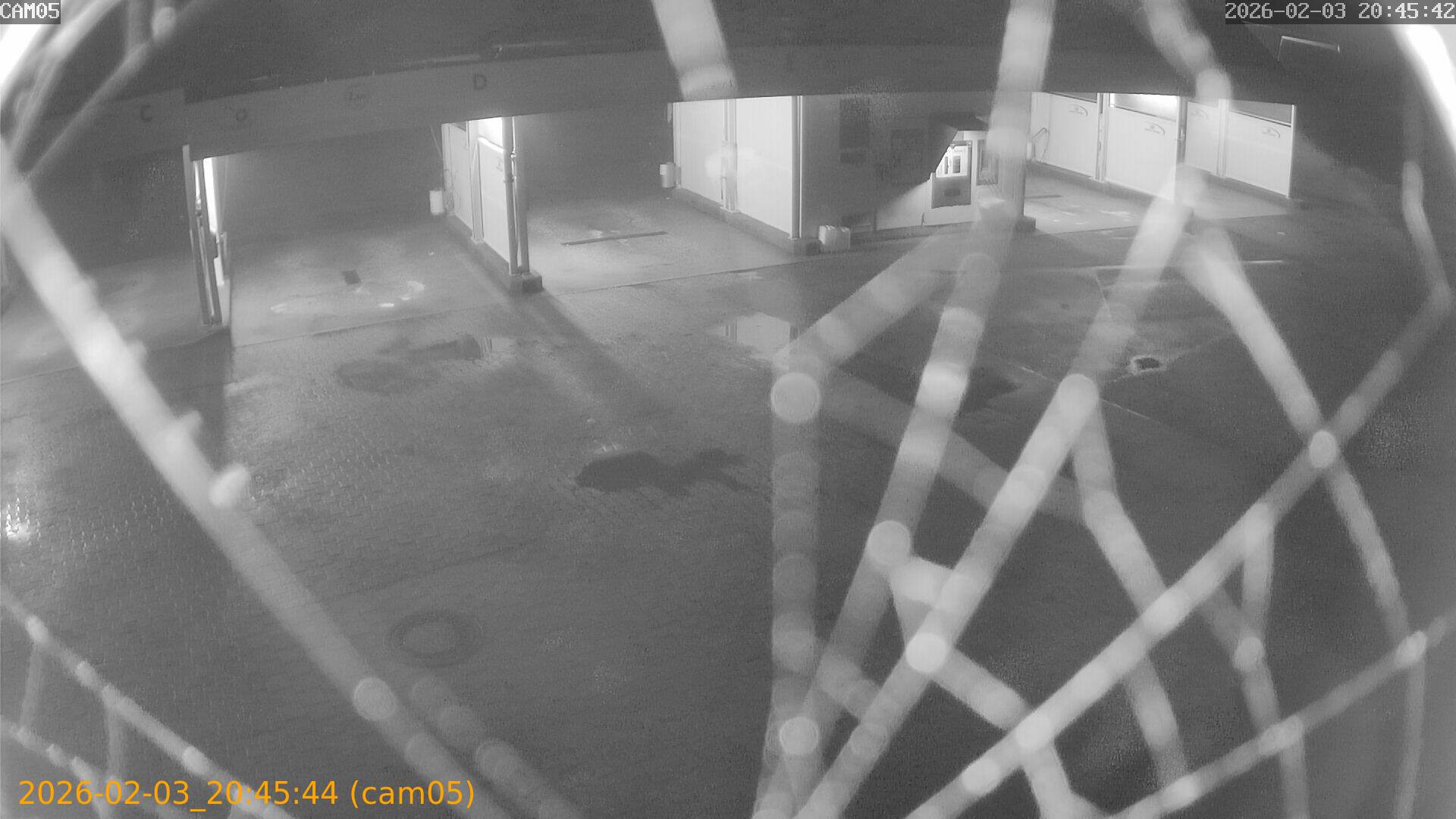 thumbnail_20260203204544