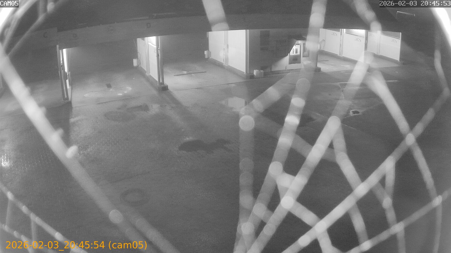 thumbnail_20260203204554