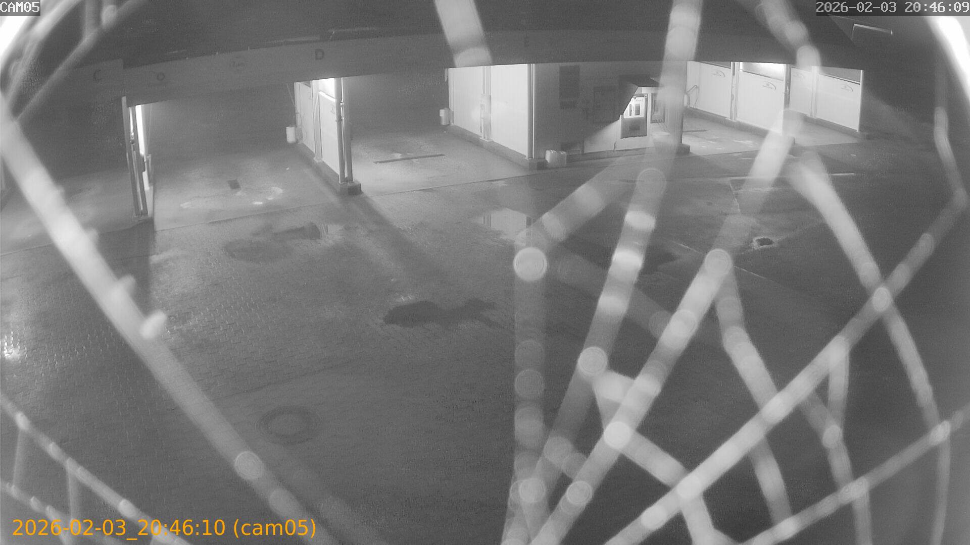 thumbnail_20260203204610