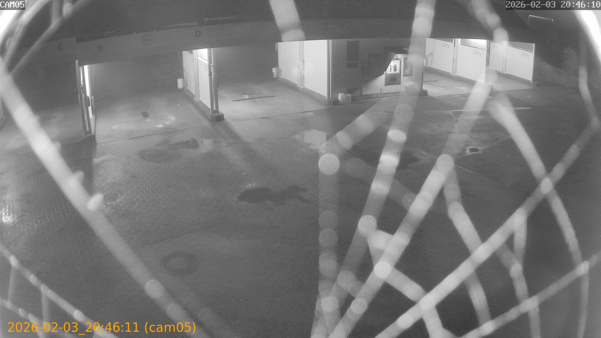 thumbnail_20260203204611