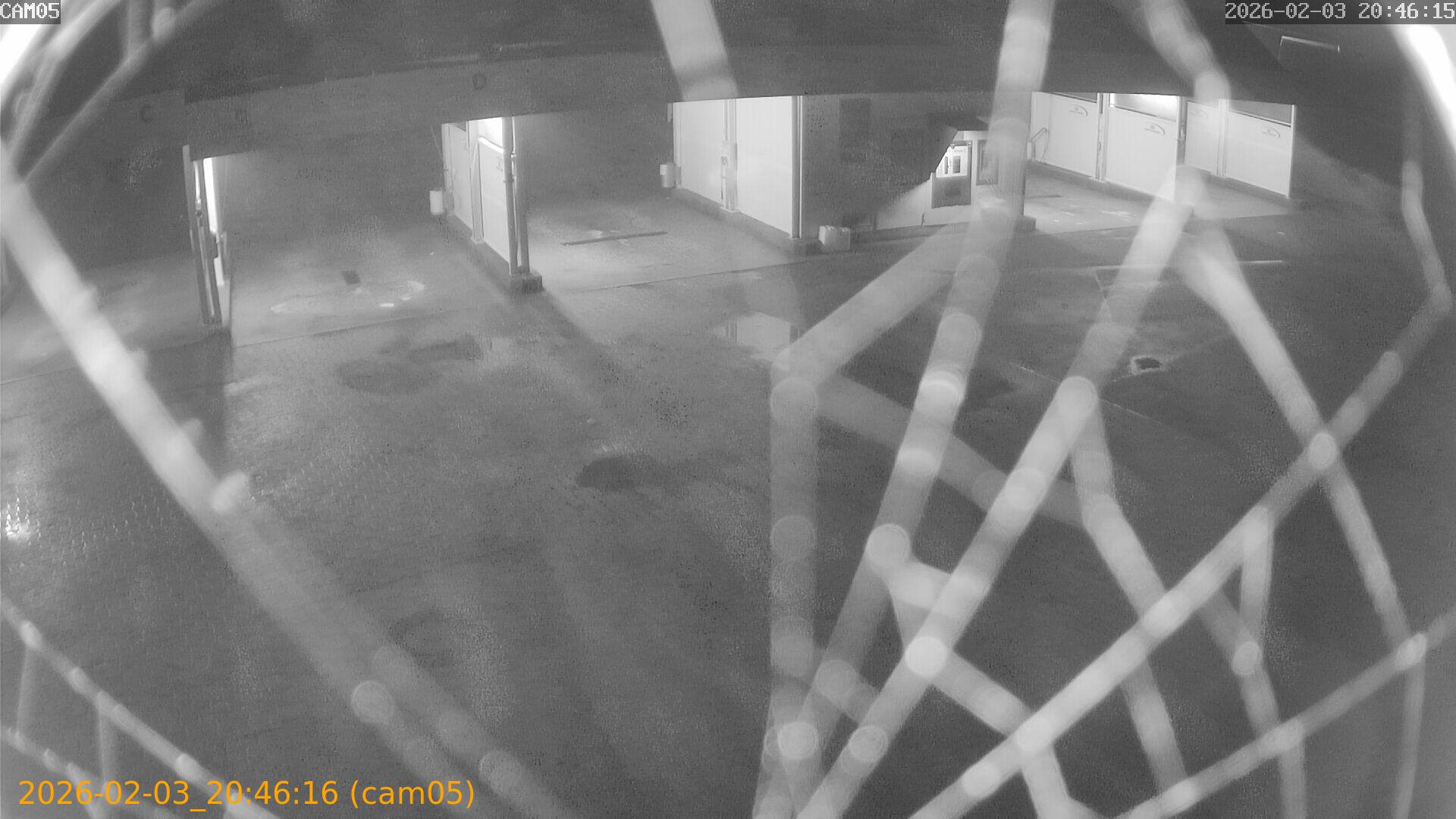 thumbnail_20260203204616