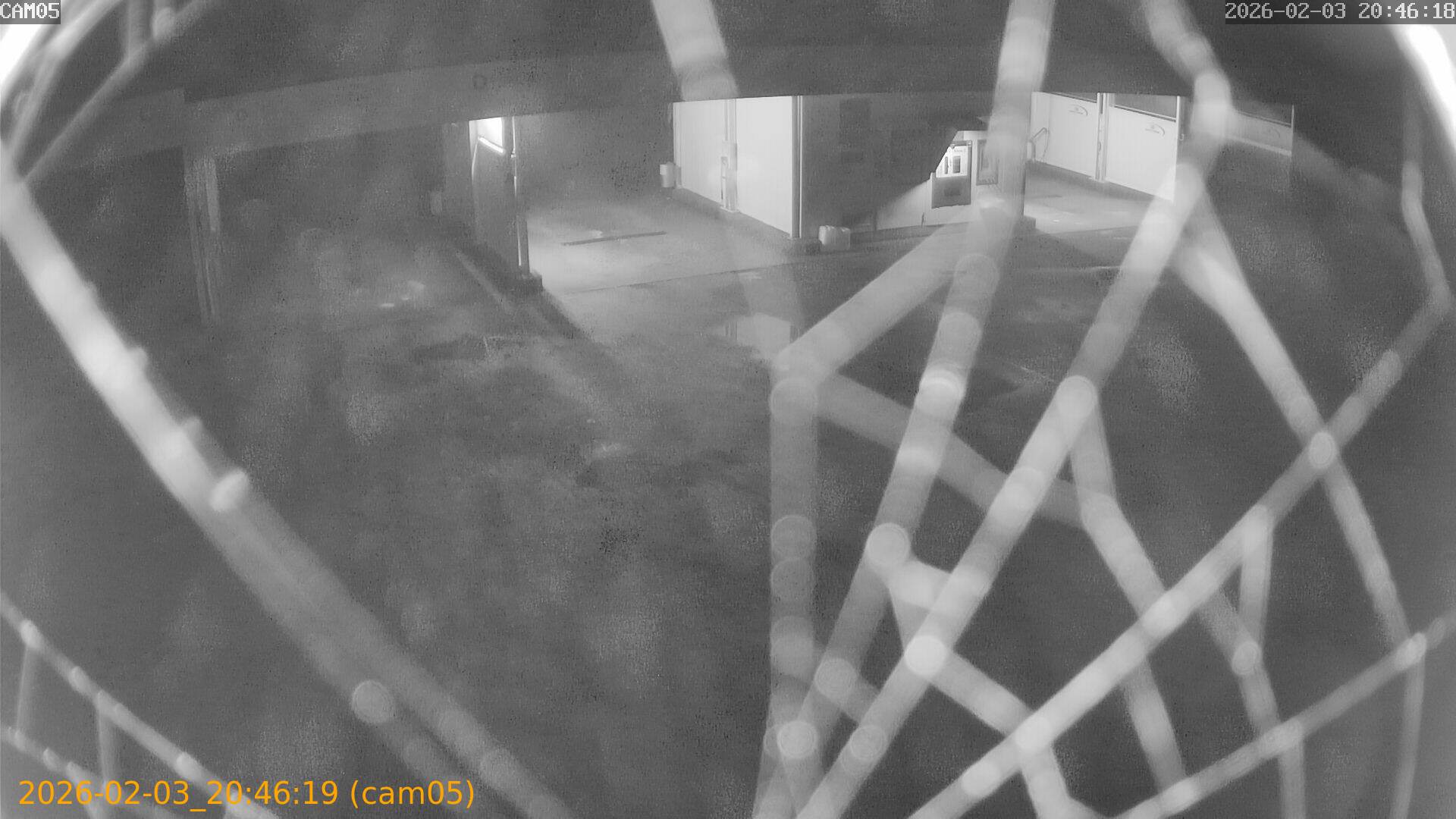 thumbnail_20260203204619