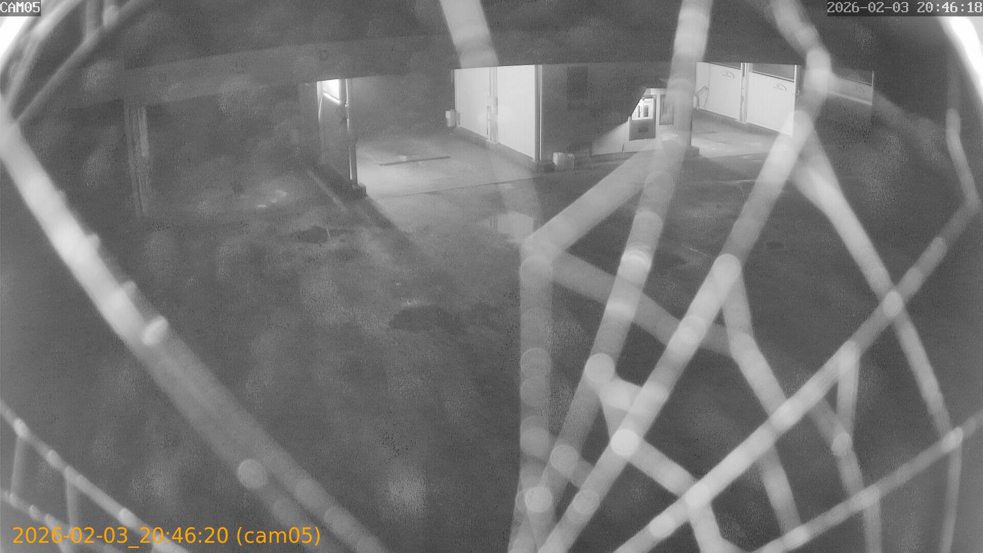 thumbnail_20260203204620