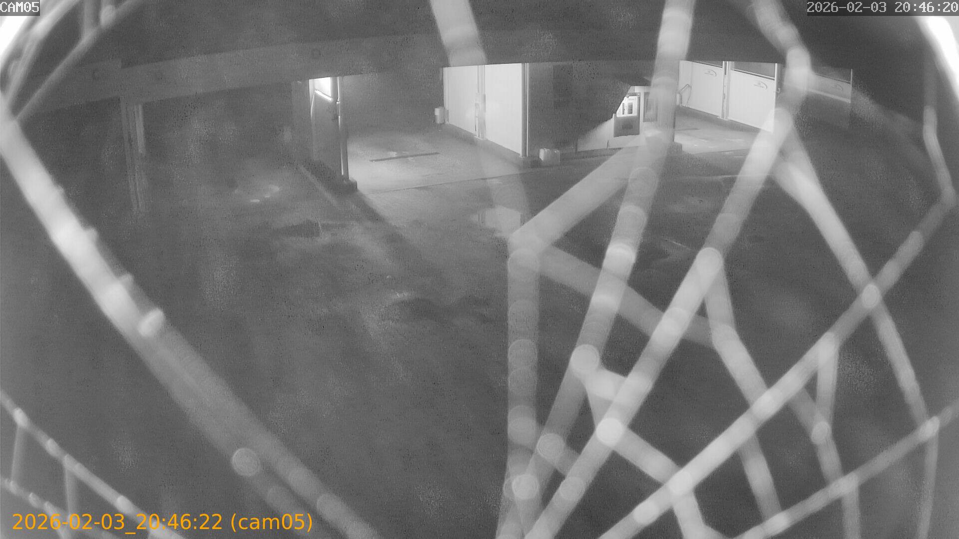 thumbnail_20260203204622