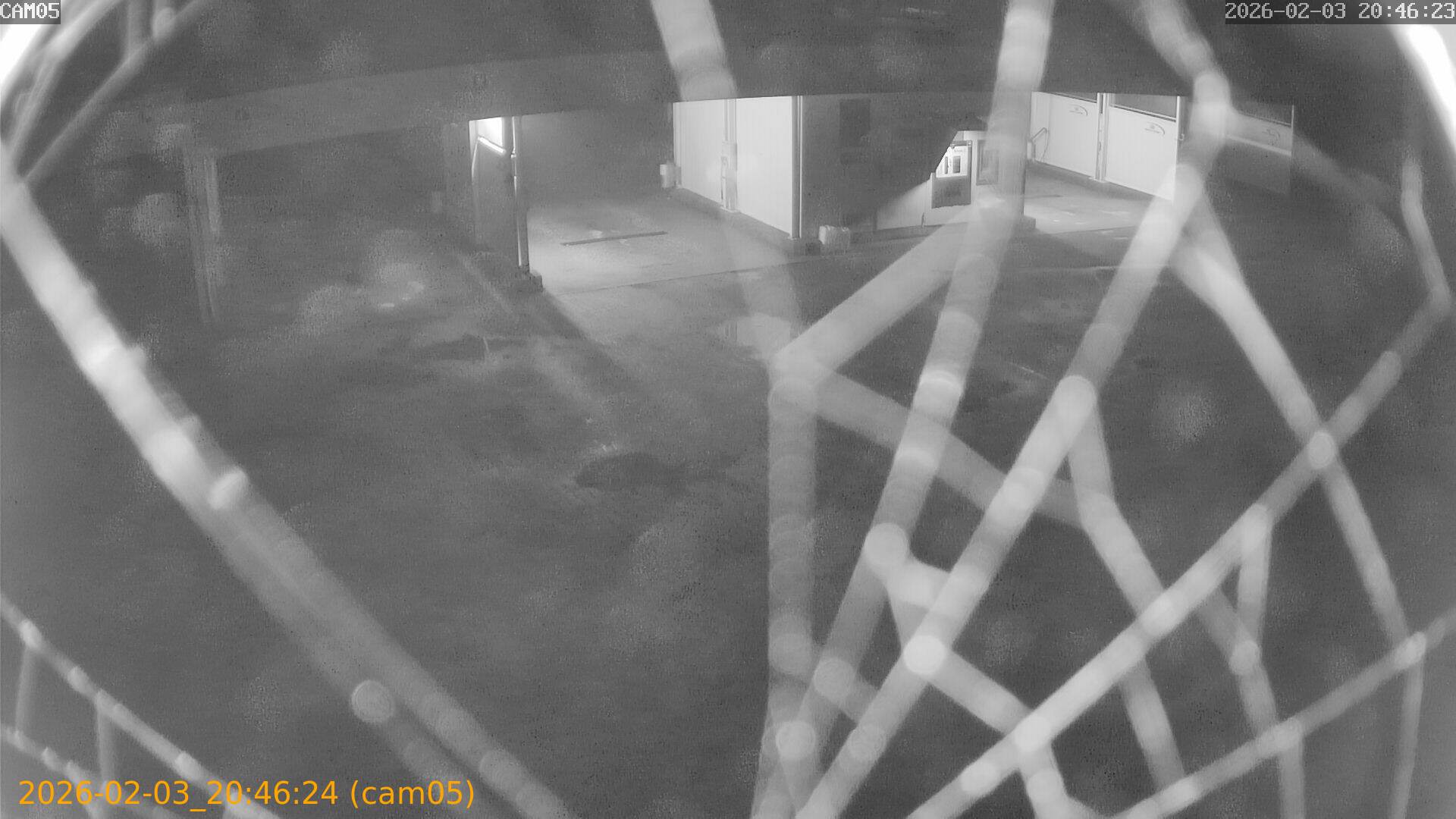 thumbnail_20260203204624