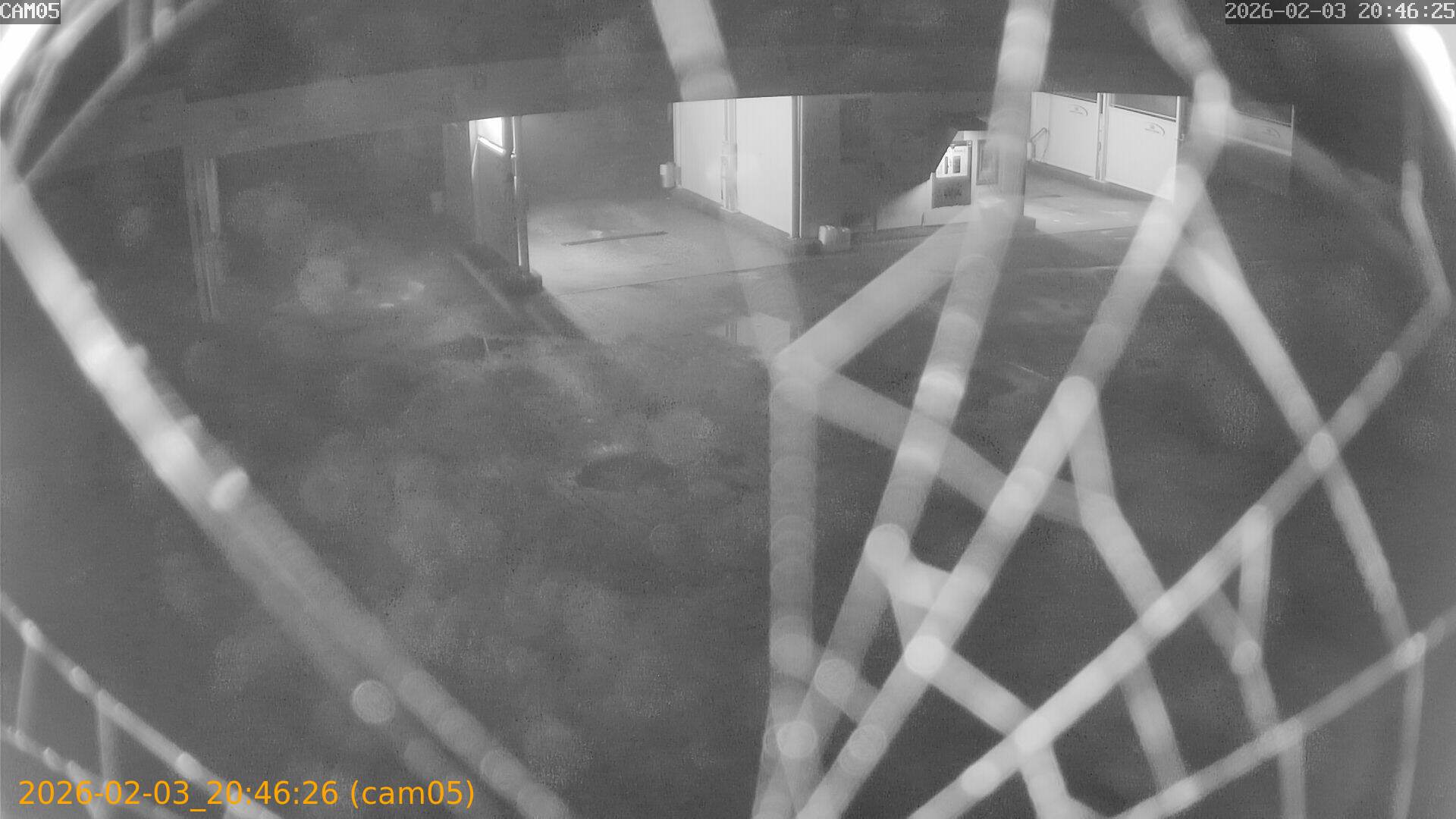 thumbnail_20260203204626