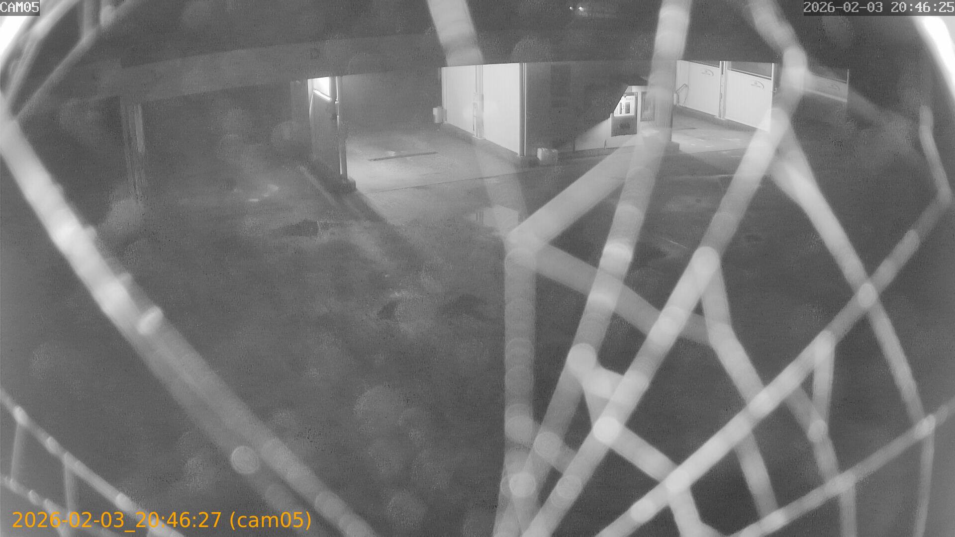 thumbnail_20260203204627