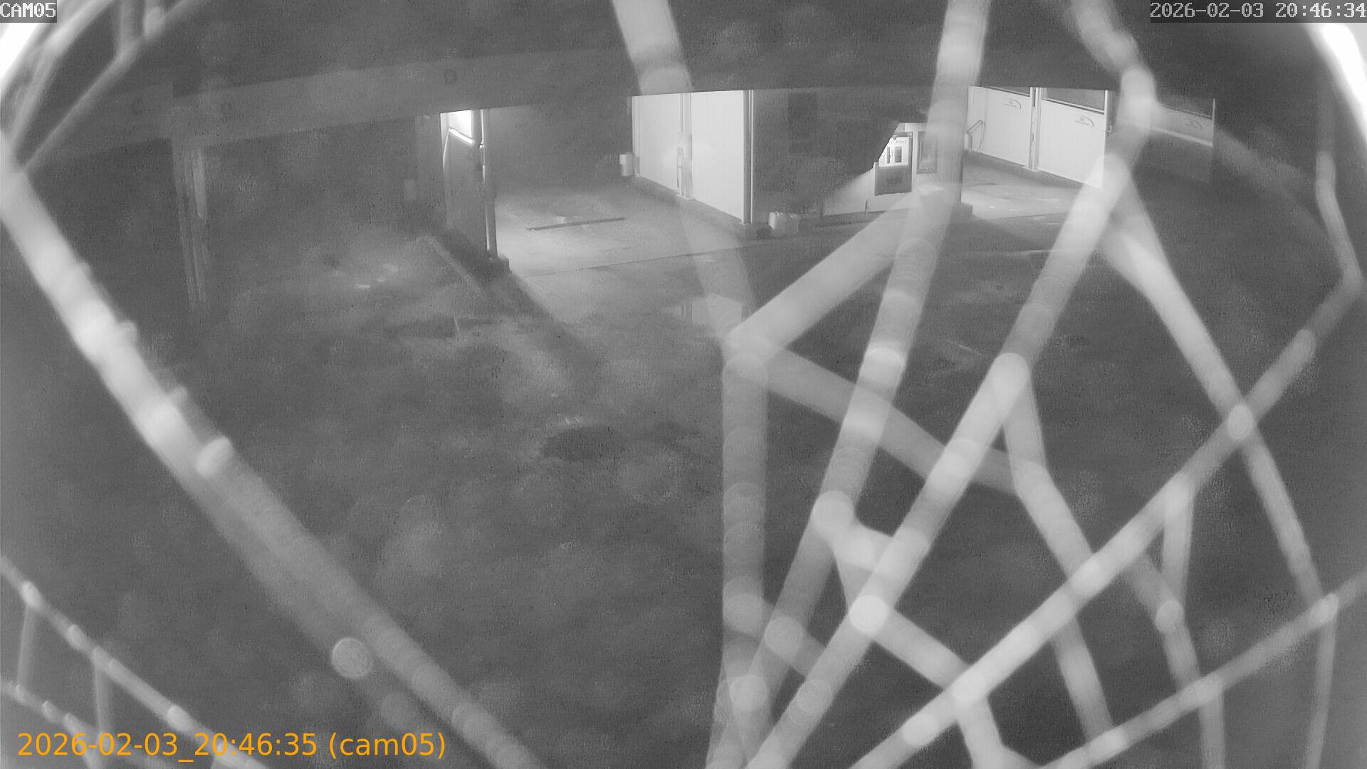 thumbnail_20260203204635