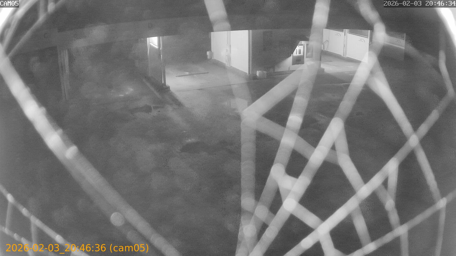 thumbnail_20260203204636