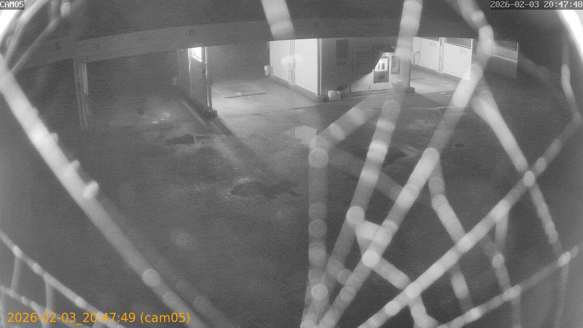 thumbnail_20260203204749