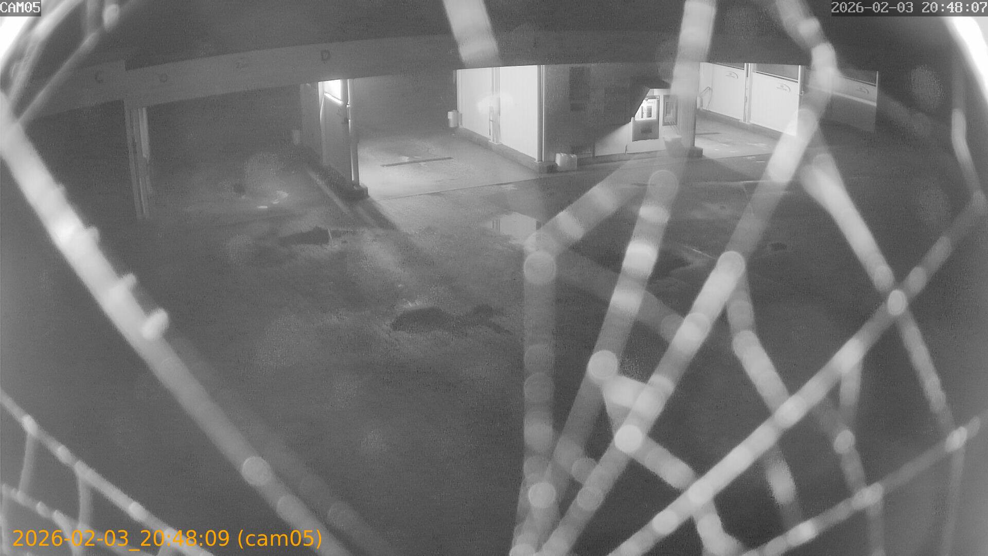 thumbnail_20260203204809