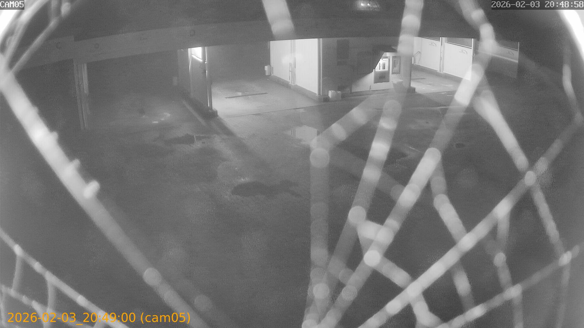 thumbnail_20260203204900