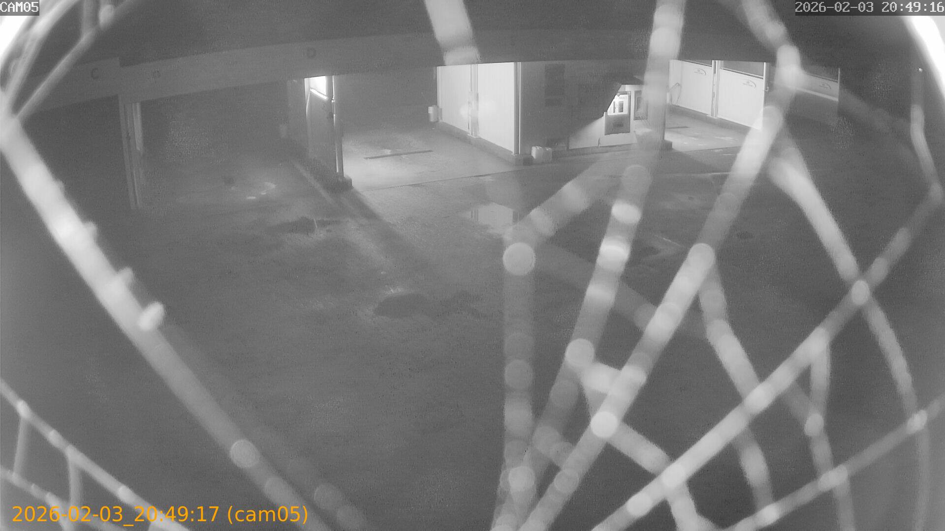 thumbnail_20260203204917