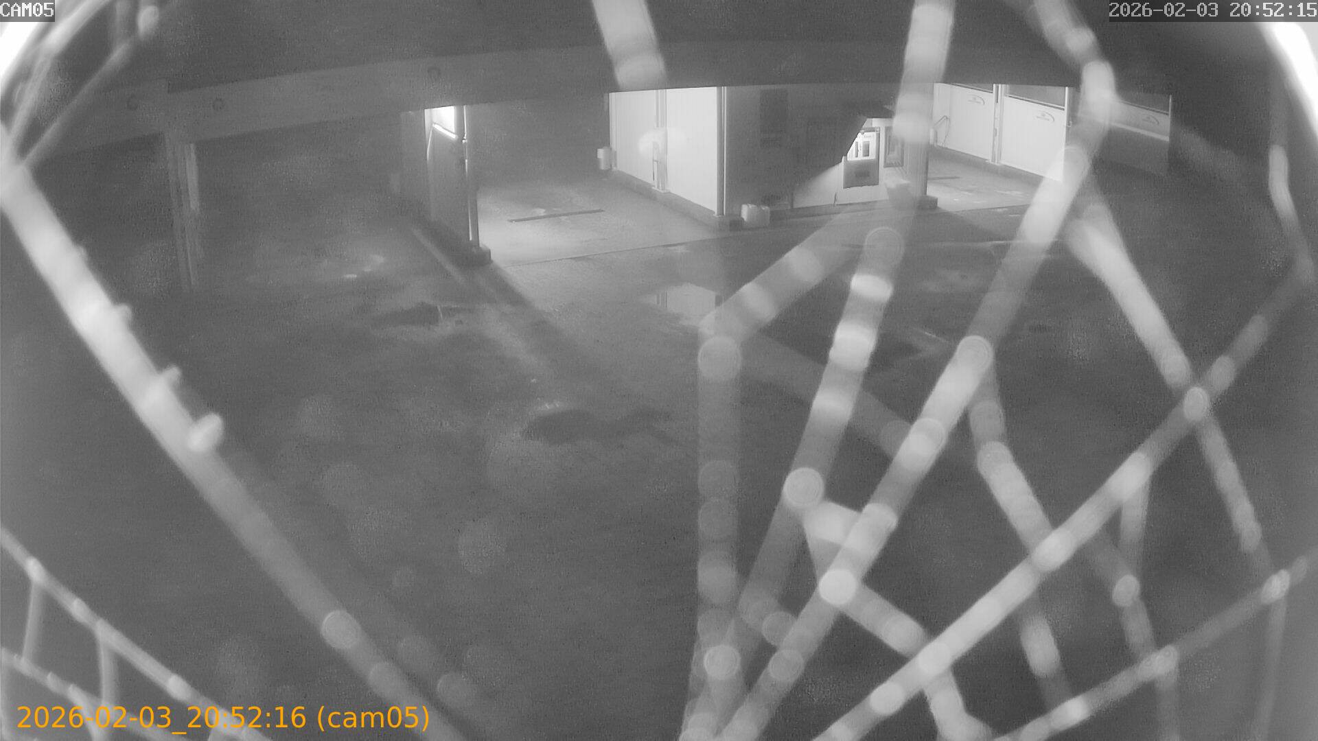 thumbnail_20260203205216