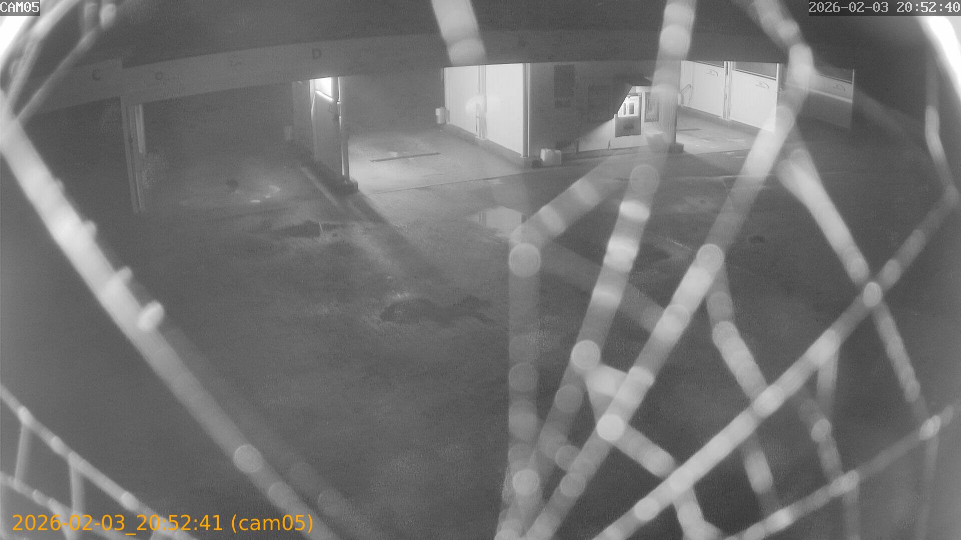 thumbnail_20260203205241