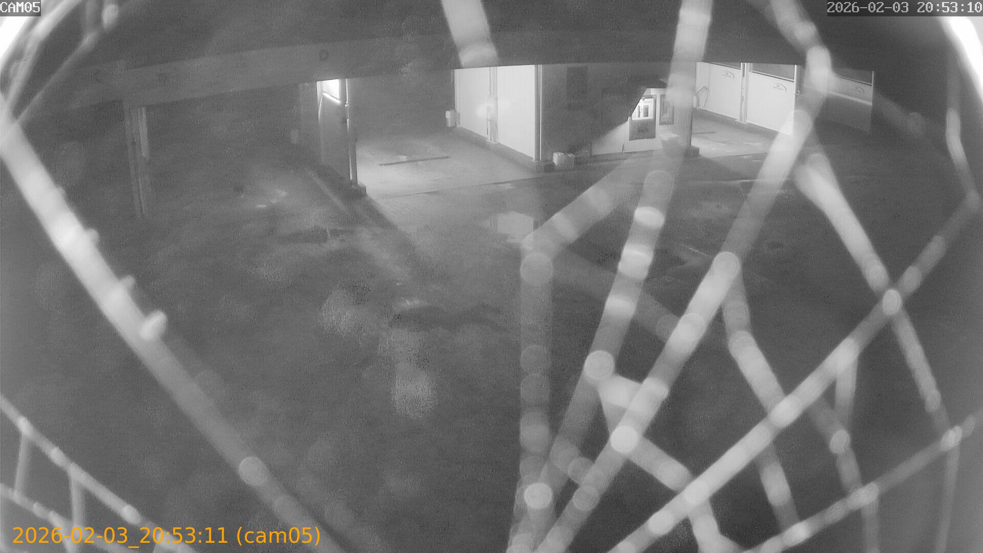 thumbnail_20260203205311