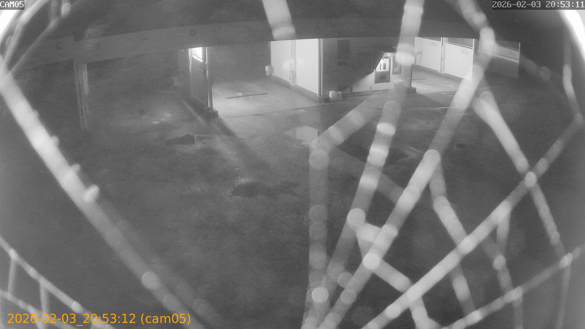 thumbnail_20260203205312