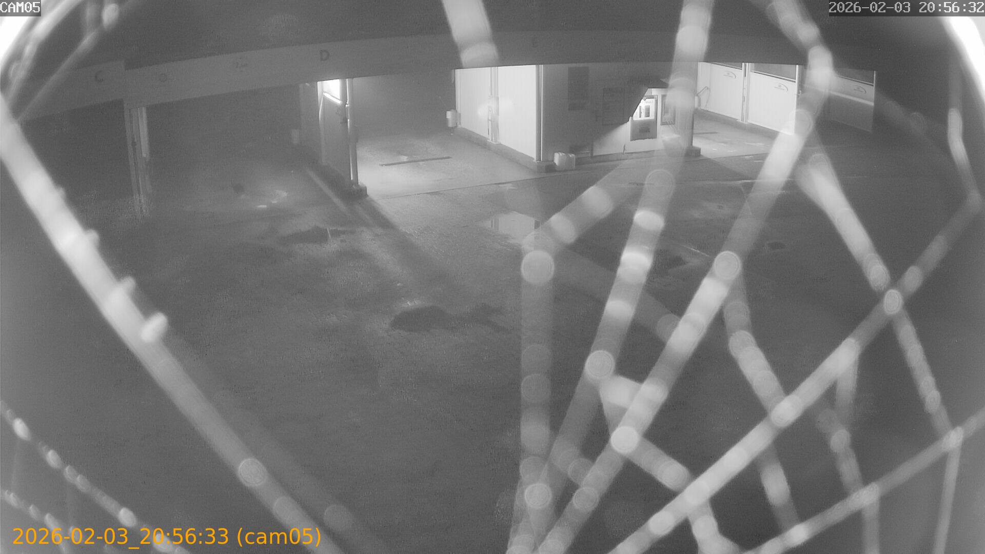 thumbnail_20260203205633