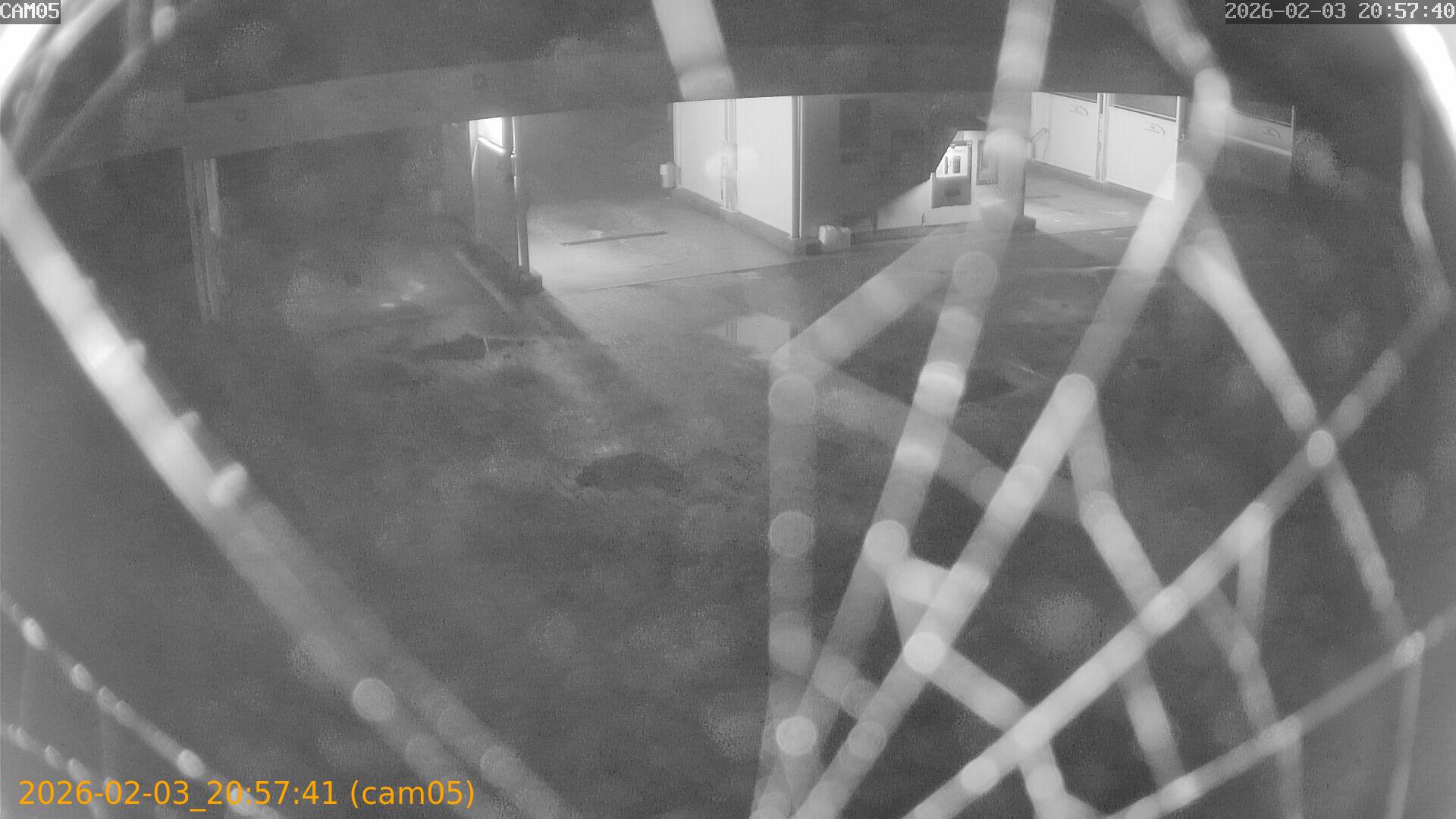 thumbnail_20260203205741