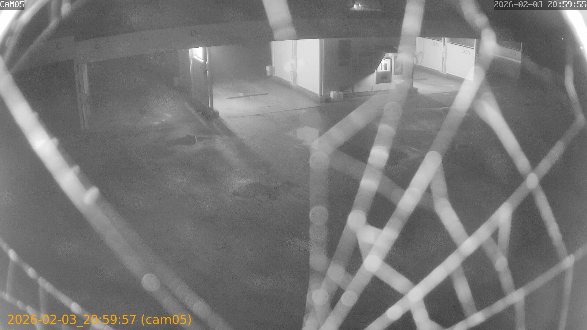 thumbnail_20260203205957