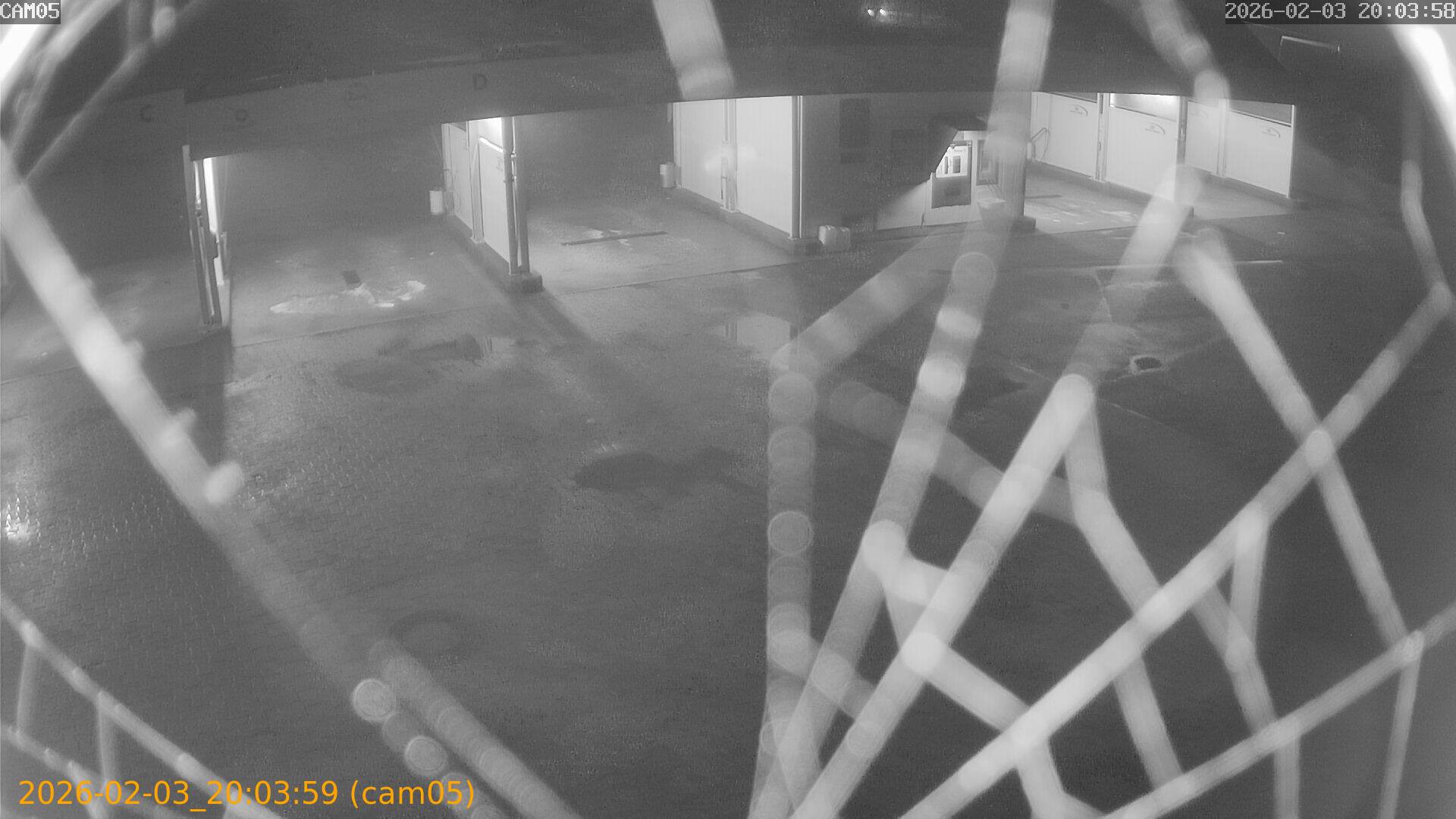 thumbnail_202602032003