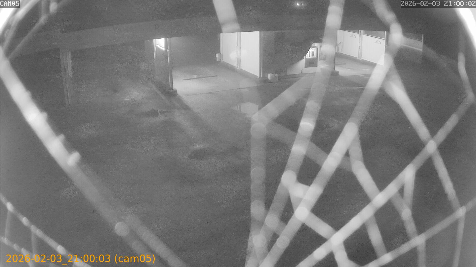 thumbnail_20260203210003