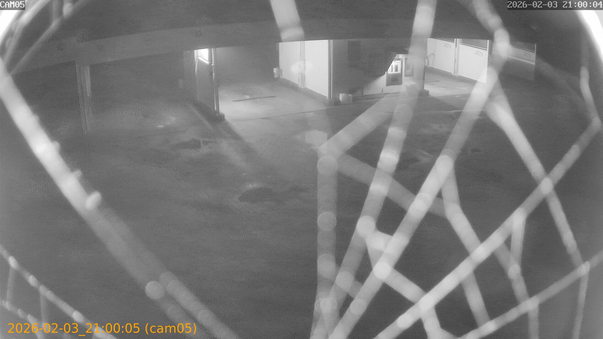 thumbnail_20260203210005