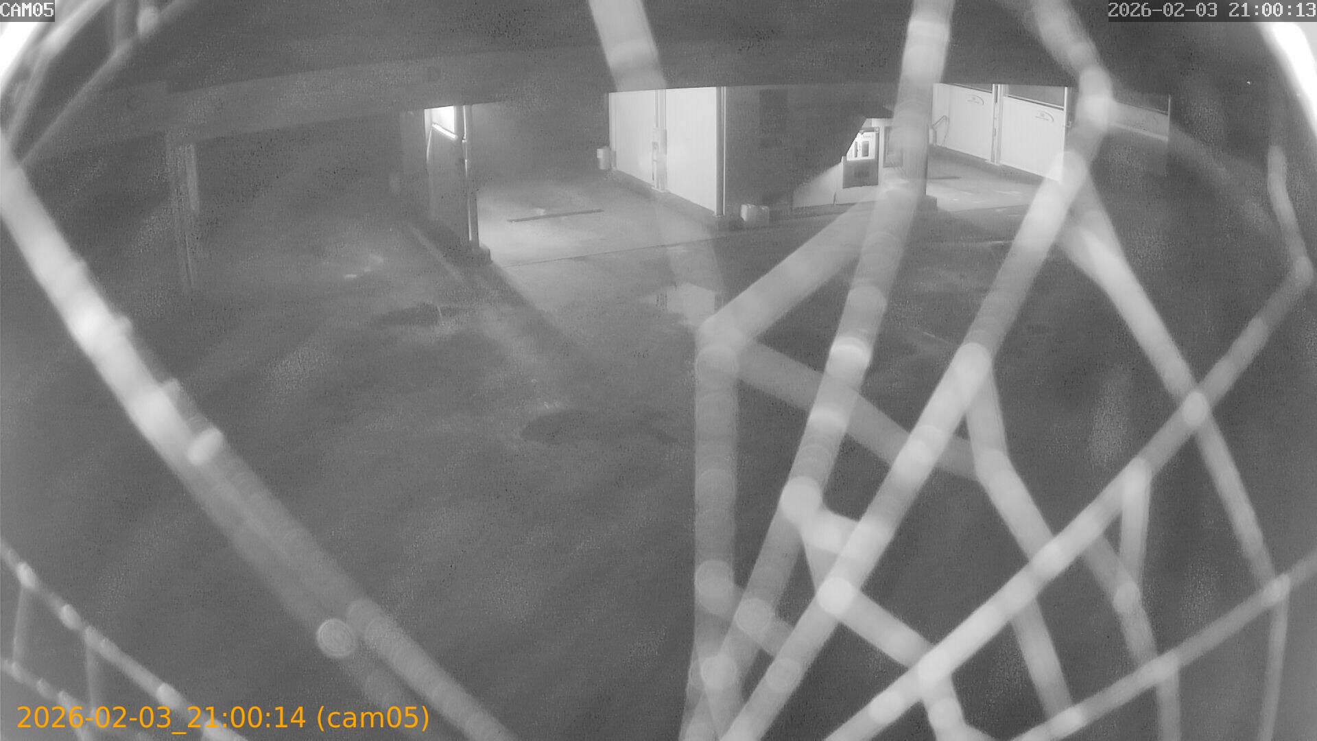 thumbnail_20260203210014