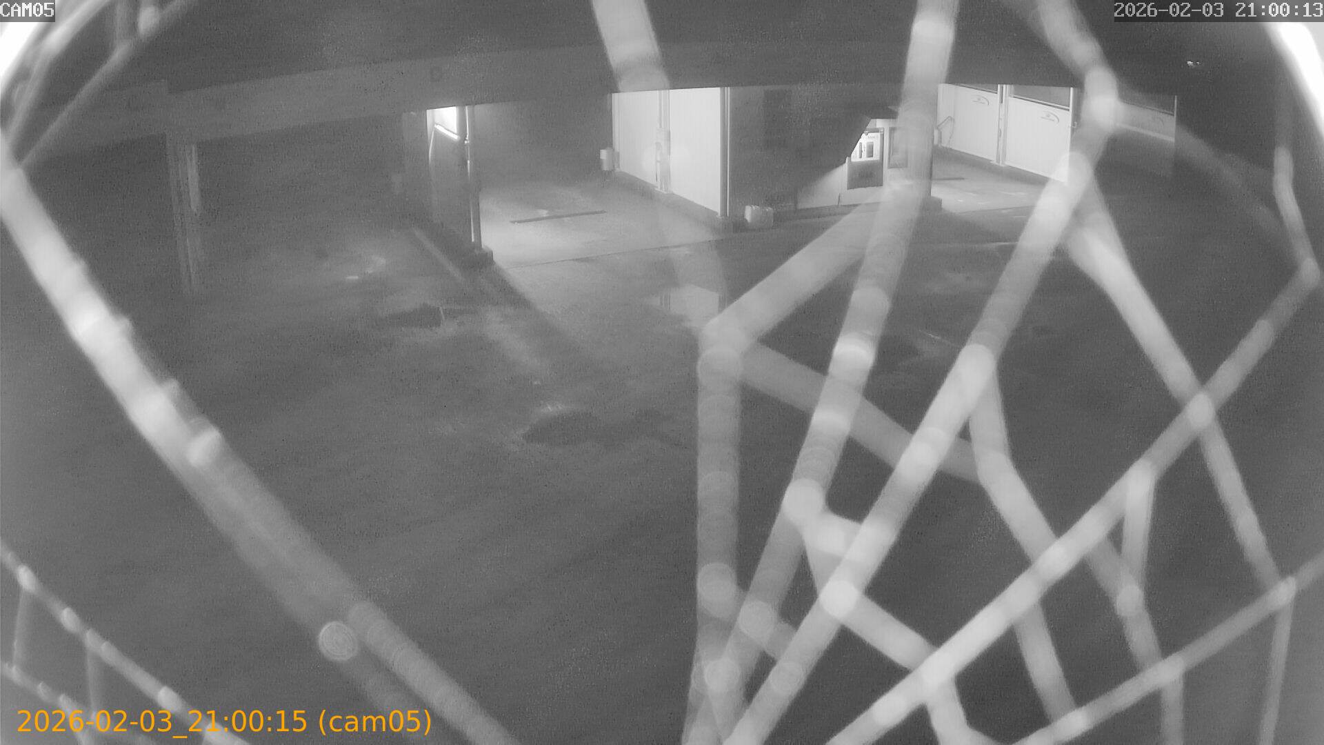 thumbnail_20260203210015