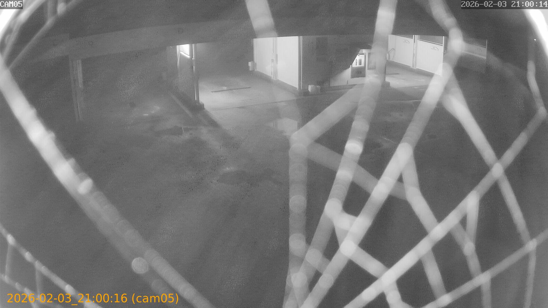 thumbnail_20260203210016