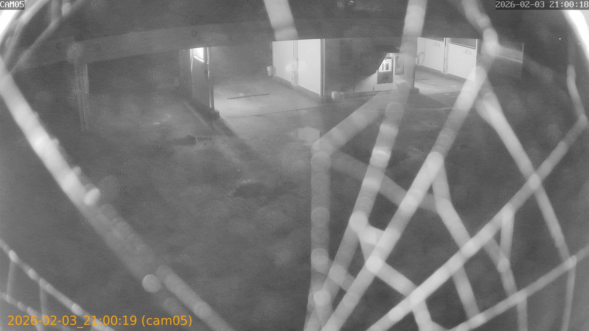 thumbnail_20260203210019