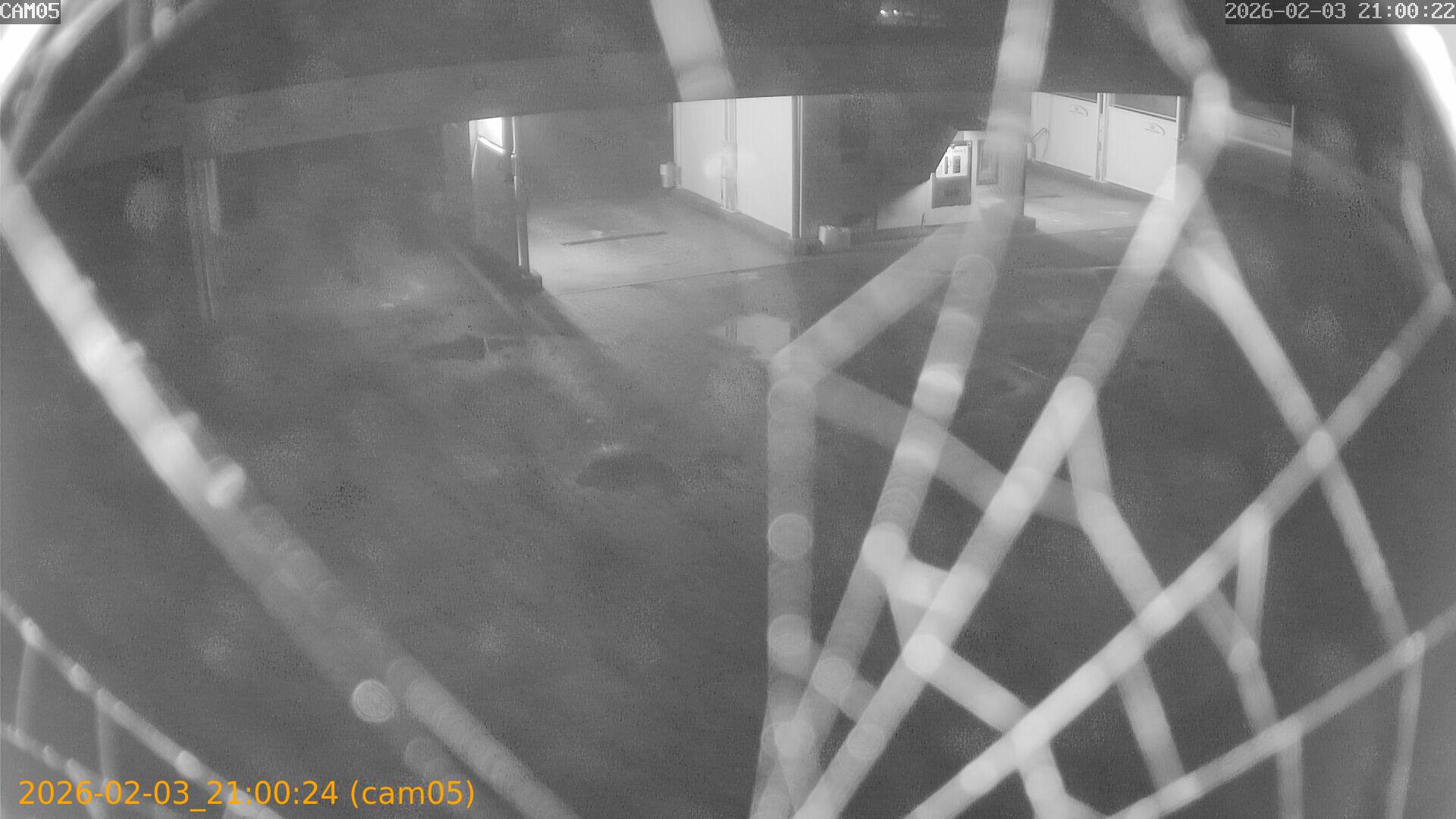 thumbnail_20260203210024