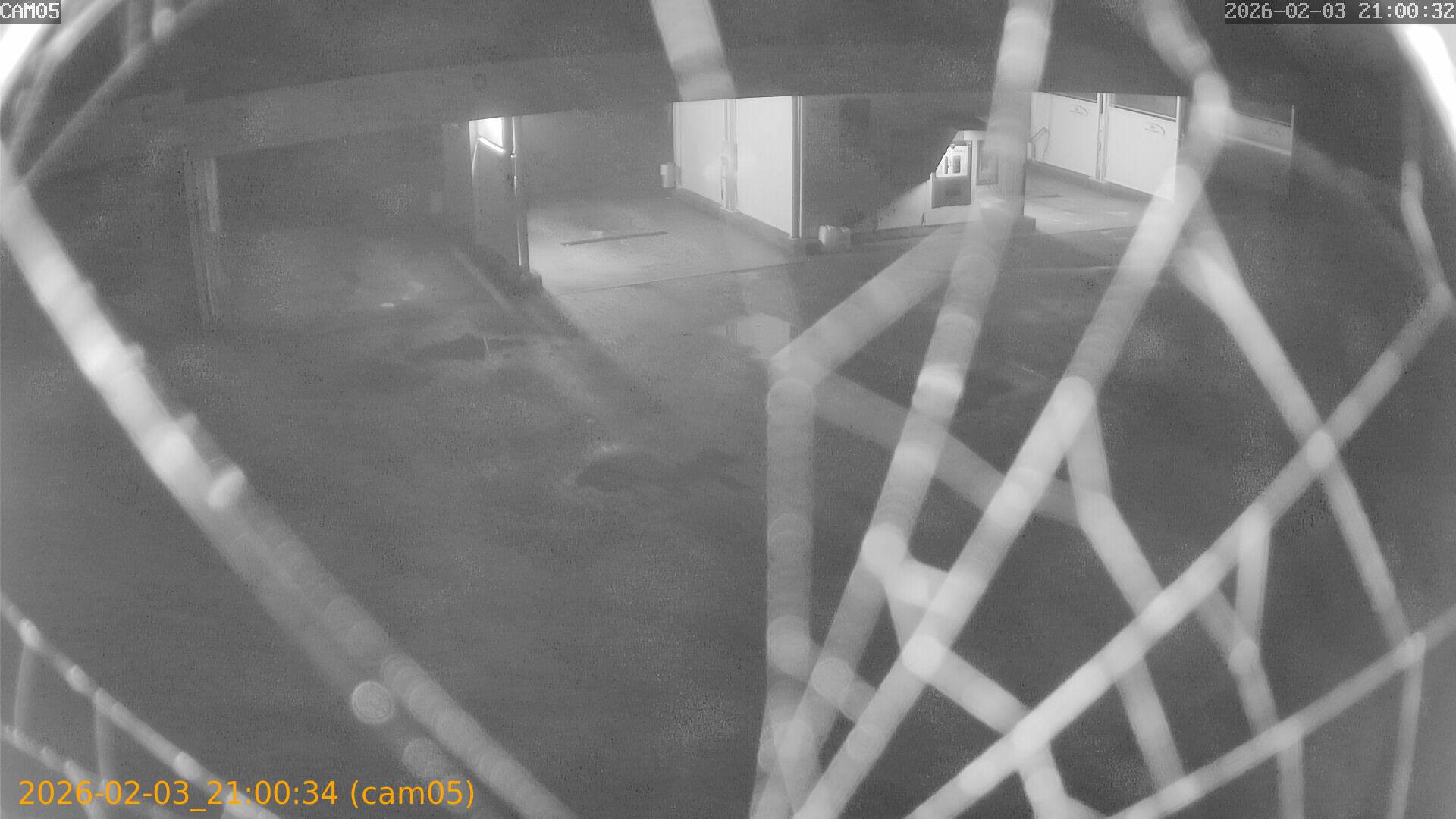 thumbnail_20260203210034