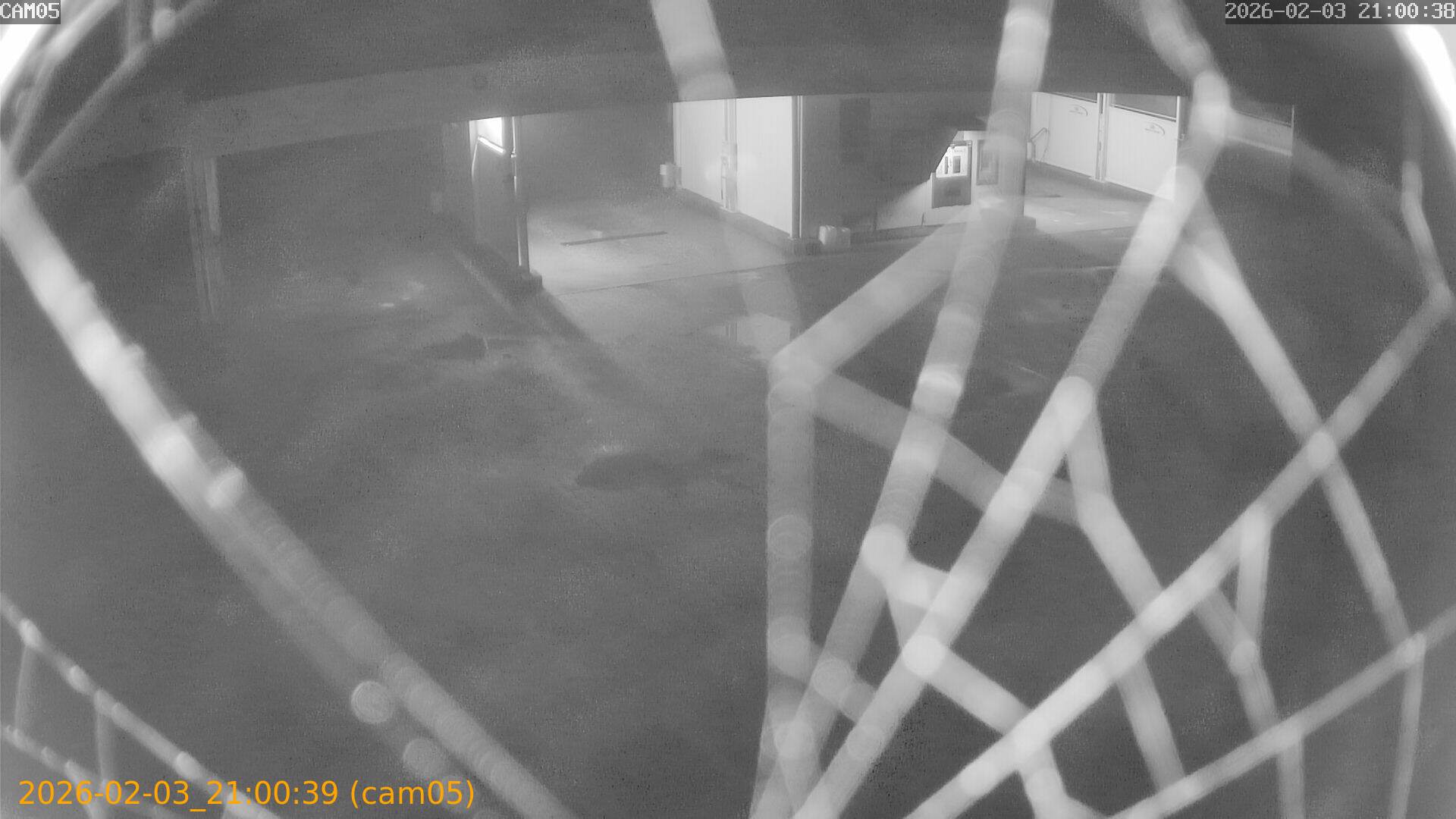 thumbnail_20260203210039