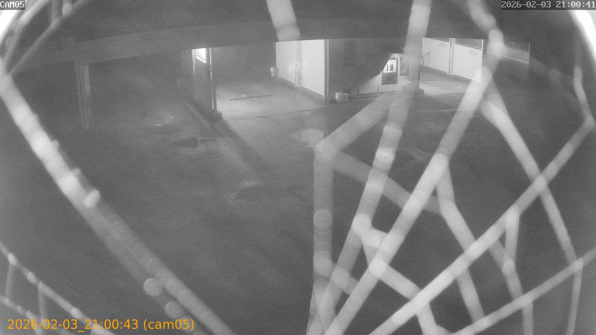 thumbnail_20260203210043