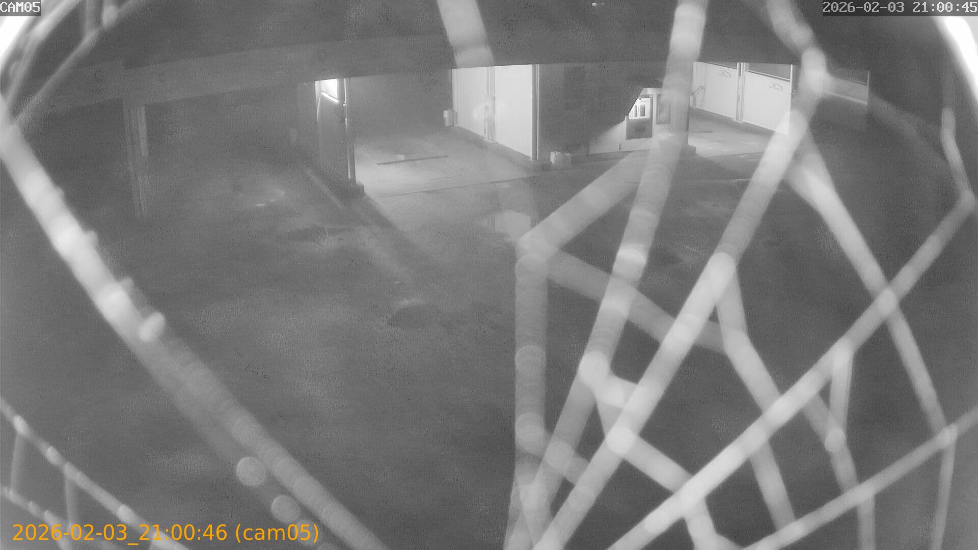 thumbnail_20260203210046