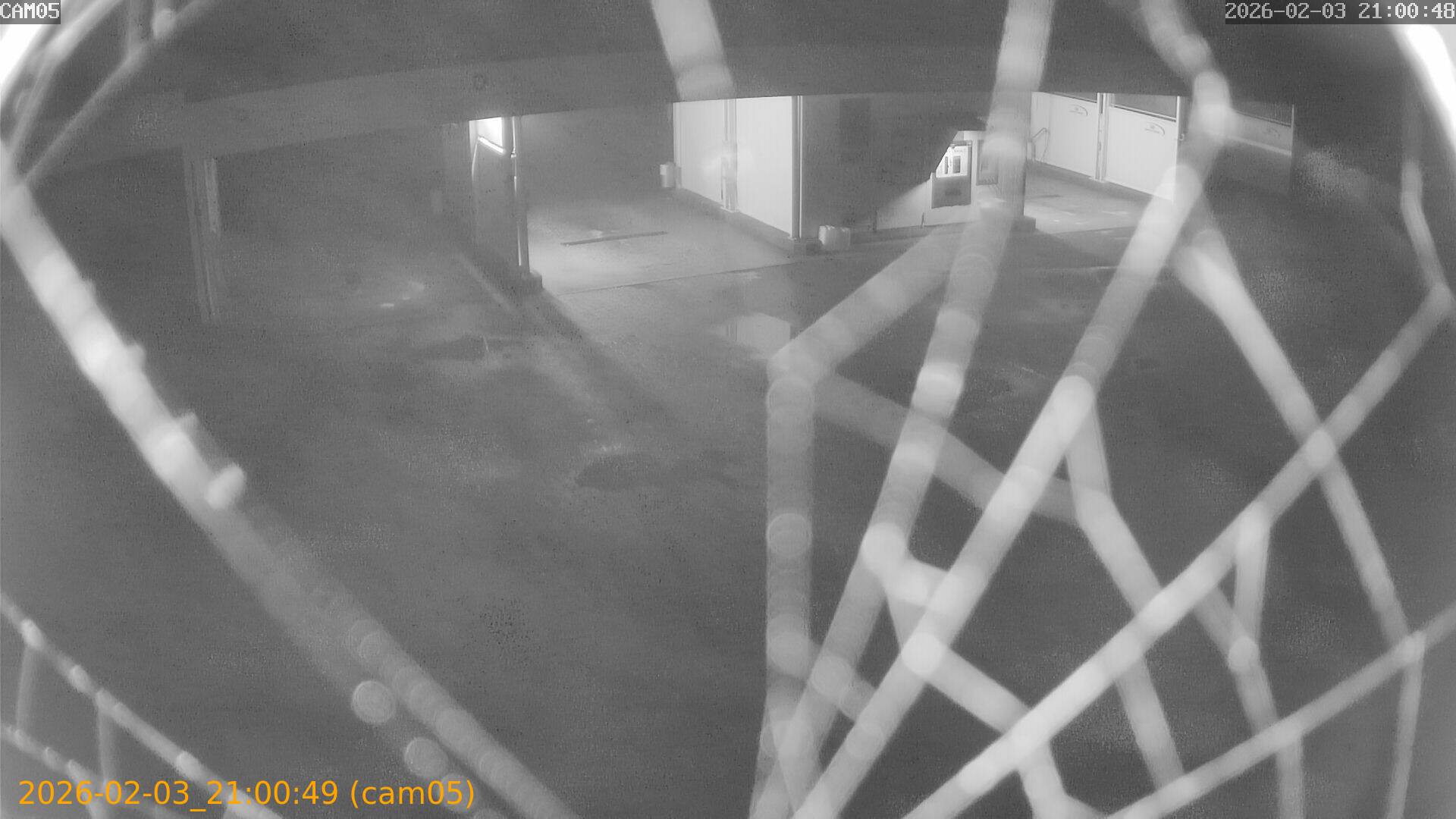 thumbnail_20260203210049