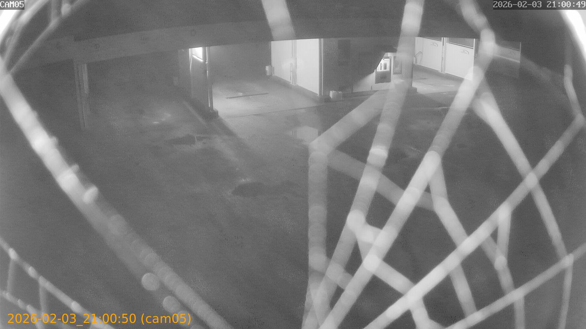 thumbnail_20260203210050