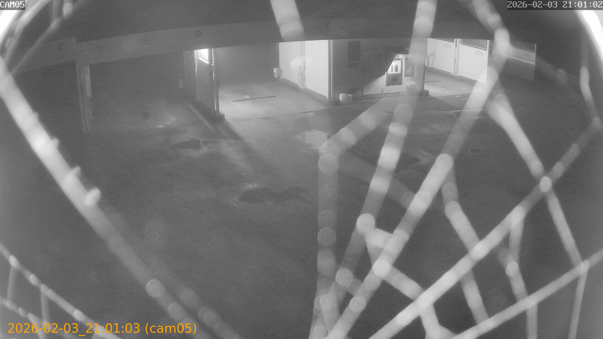 thumbnail_20260203210103