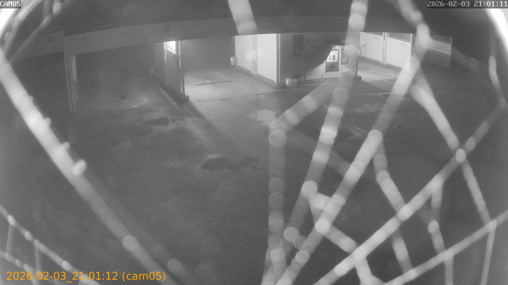 thumbnail_20260203210112