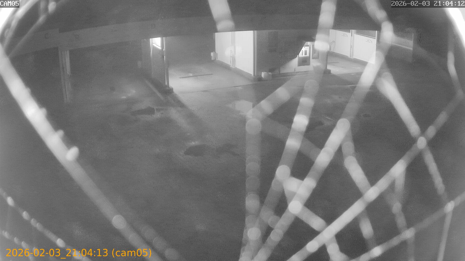 thumbnail_20260203210413