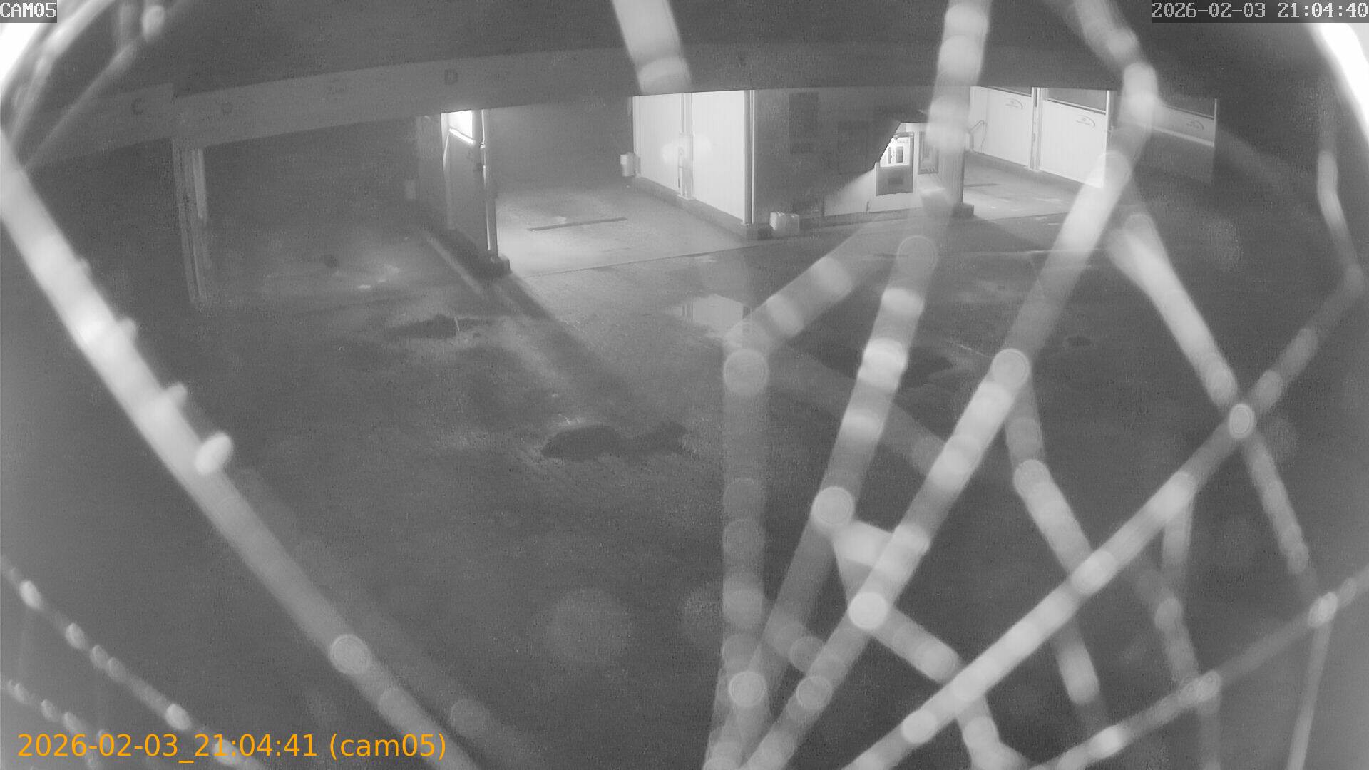 thumbnail_20260203210441