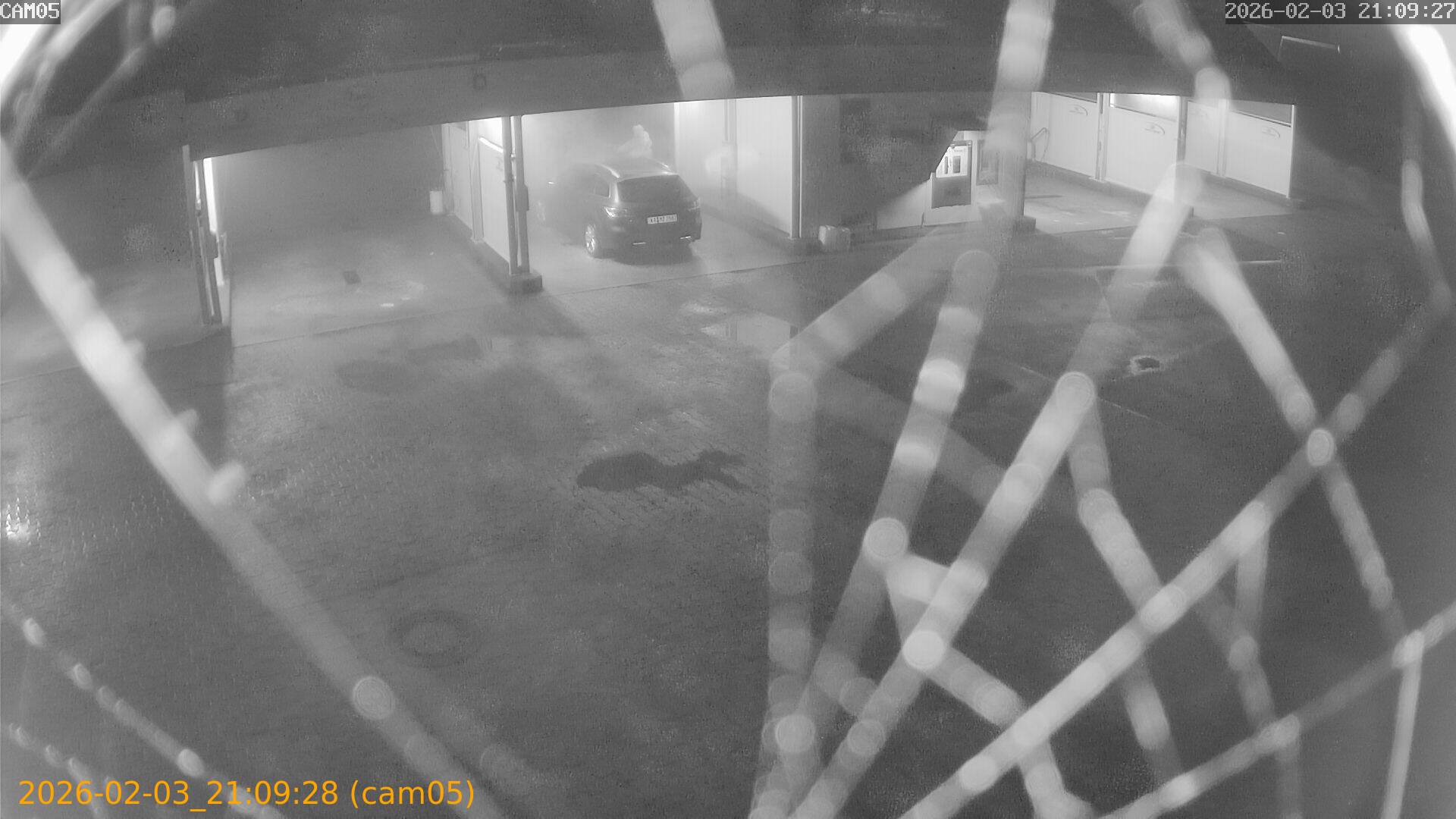 thumbnail_20260203210928