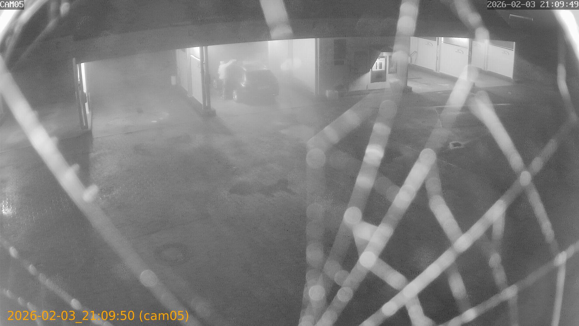 thumbnail_20260203210950