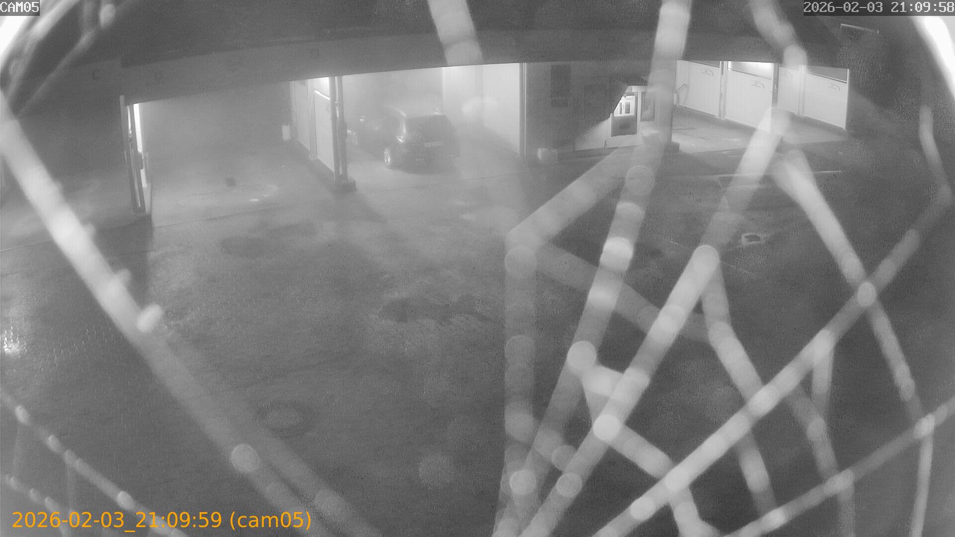 thumbnail_20260203210959