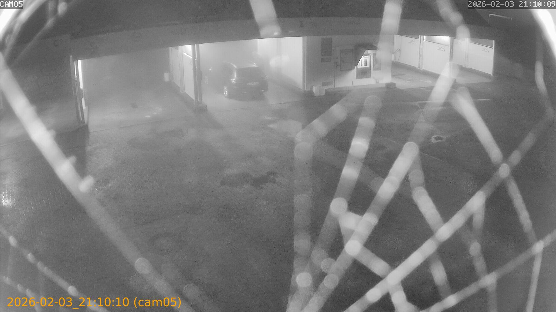 thumbnail_20260203211010